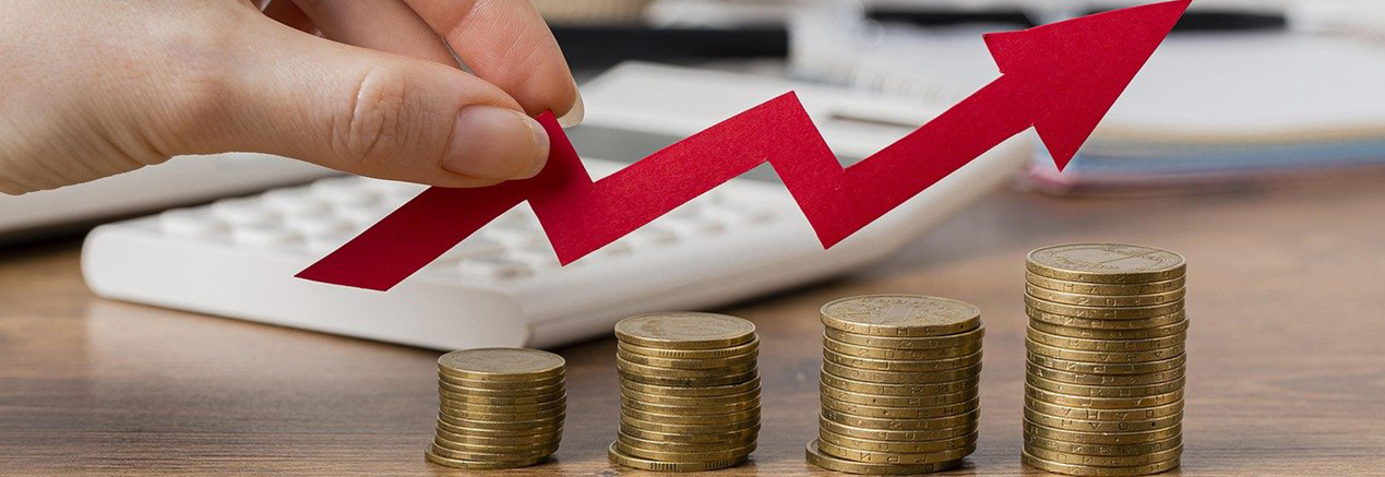 Distribución de Combustibles y su Impacto Económico