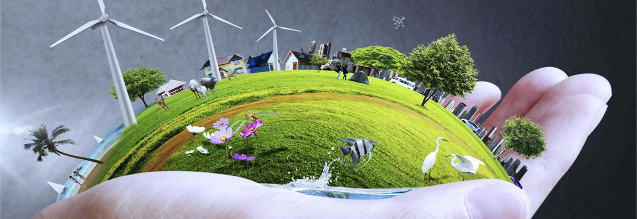 ¿Cómo Cuidar el medio ambiente?