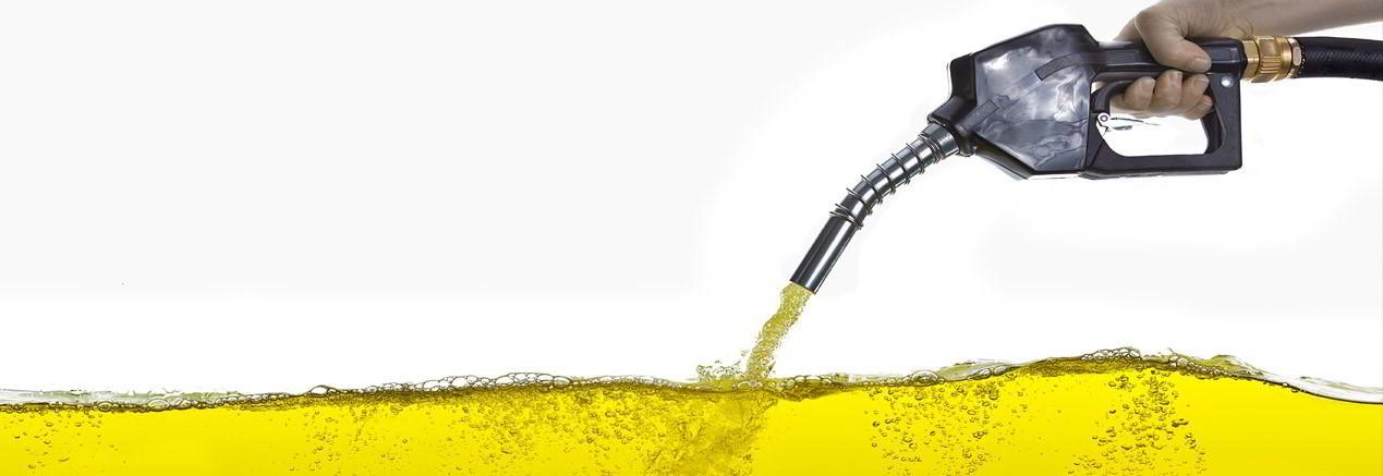 De la cocina al auto, usar aceite vegetal como combustible